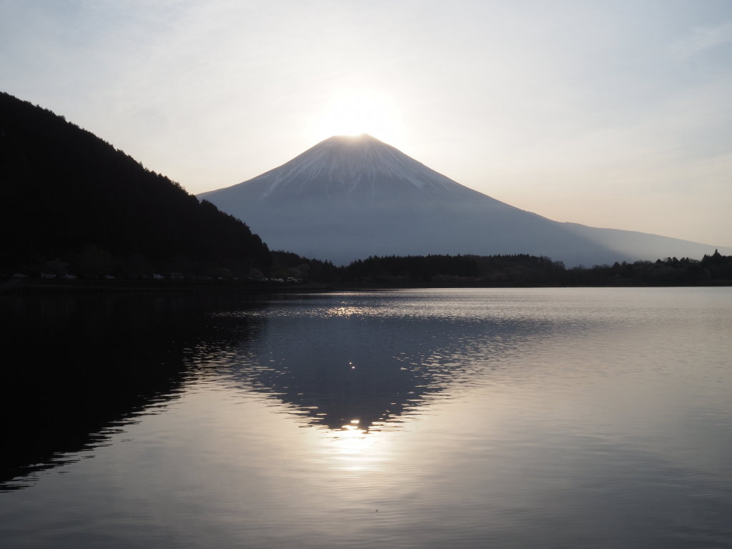 4/21 �_�C�������h�x�m