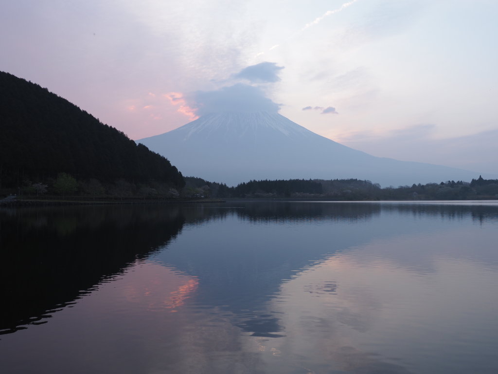 4/22 ���̏o�̕x�m�R