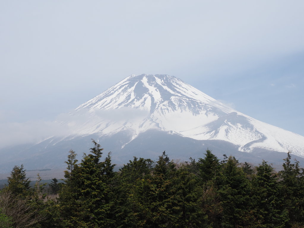 4/23 �\���؂���̕x�m�R