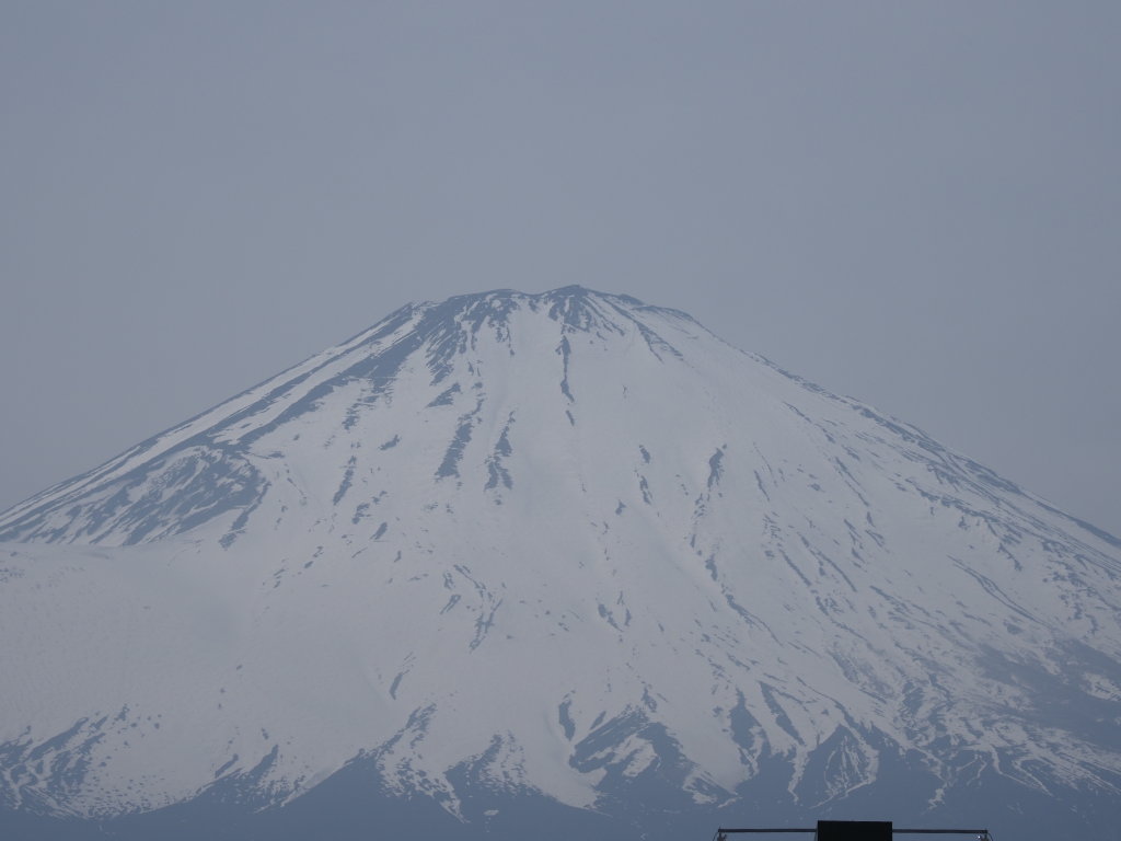 4/23 ��a�ꂩ��̕x�m�R