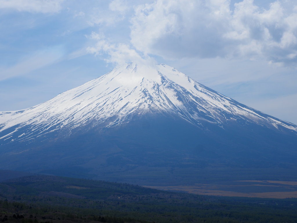 5/3 �O��������̕x�m�R