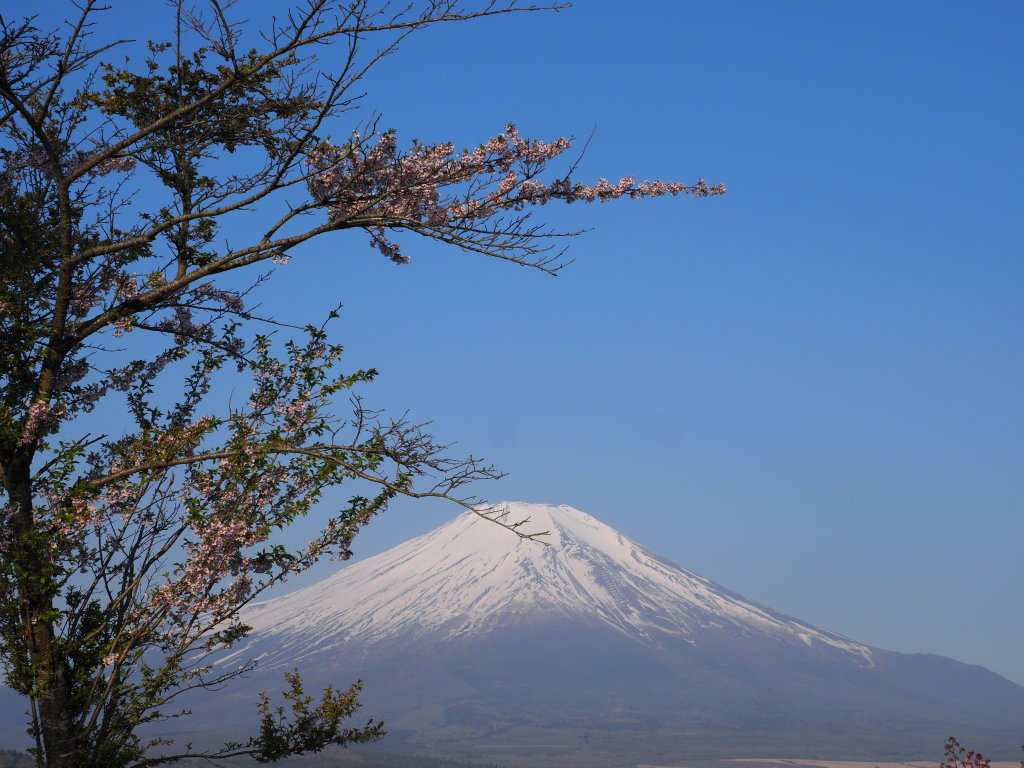 5/4 ���ƕx�m�R