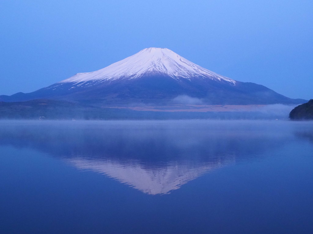 5/5 �t���x�m