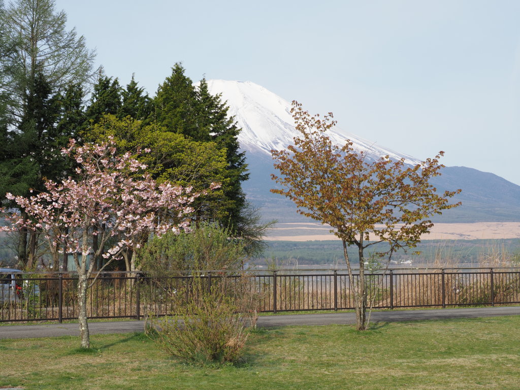 5/5 �U���̓r��(��)