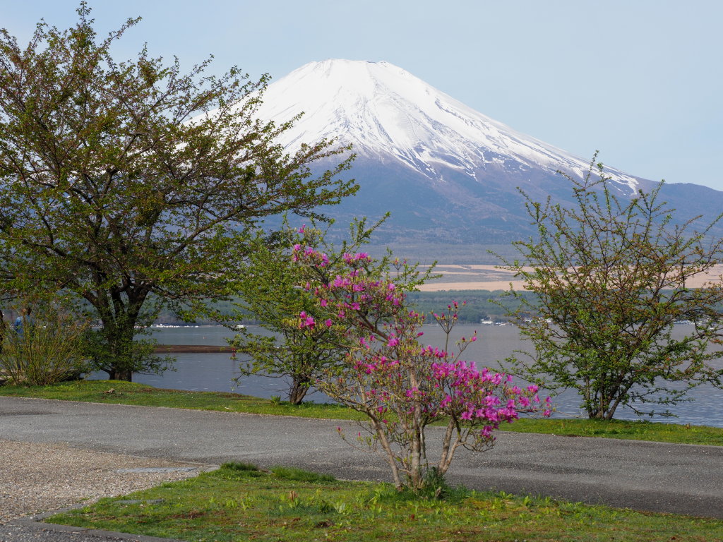 5/5 �U���̓r��(�~�c�o�c�c�W)