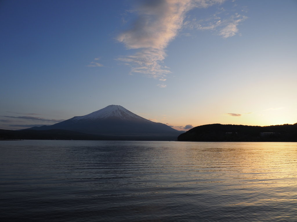 5/5 �[�Ă��̕x�m�R