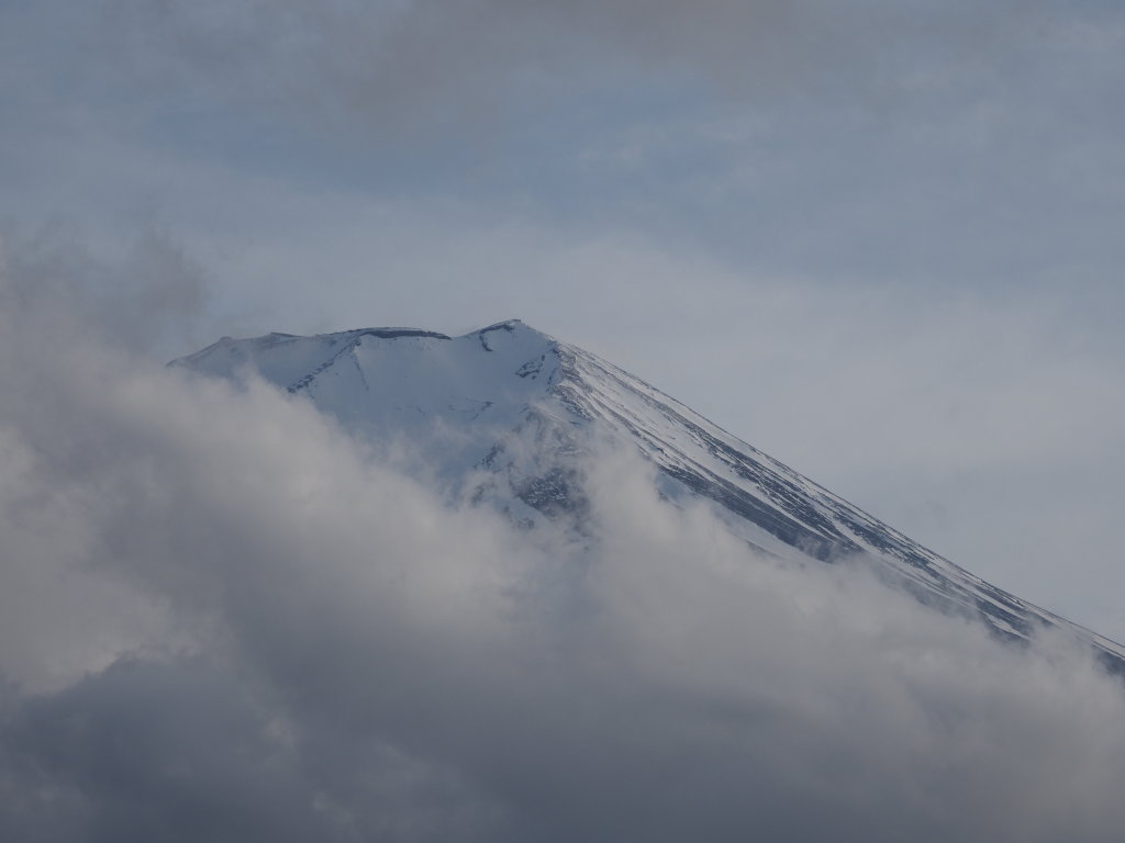 5/6 �����Ă����x�m�R