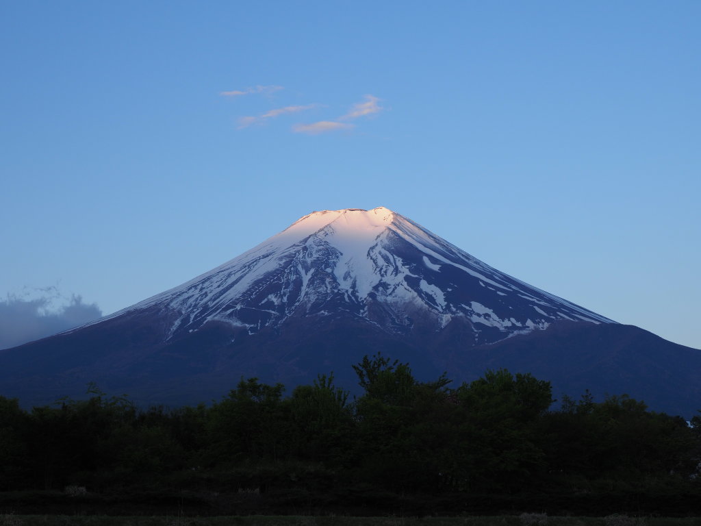 5/7 ���Ă��̕x�m�R