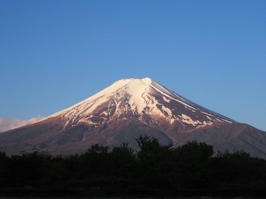 5/7 ���Ă��̕x�m�R(2)