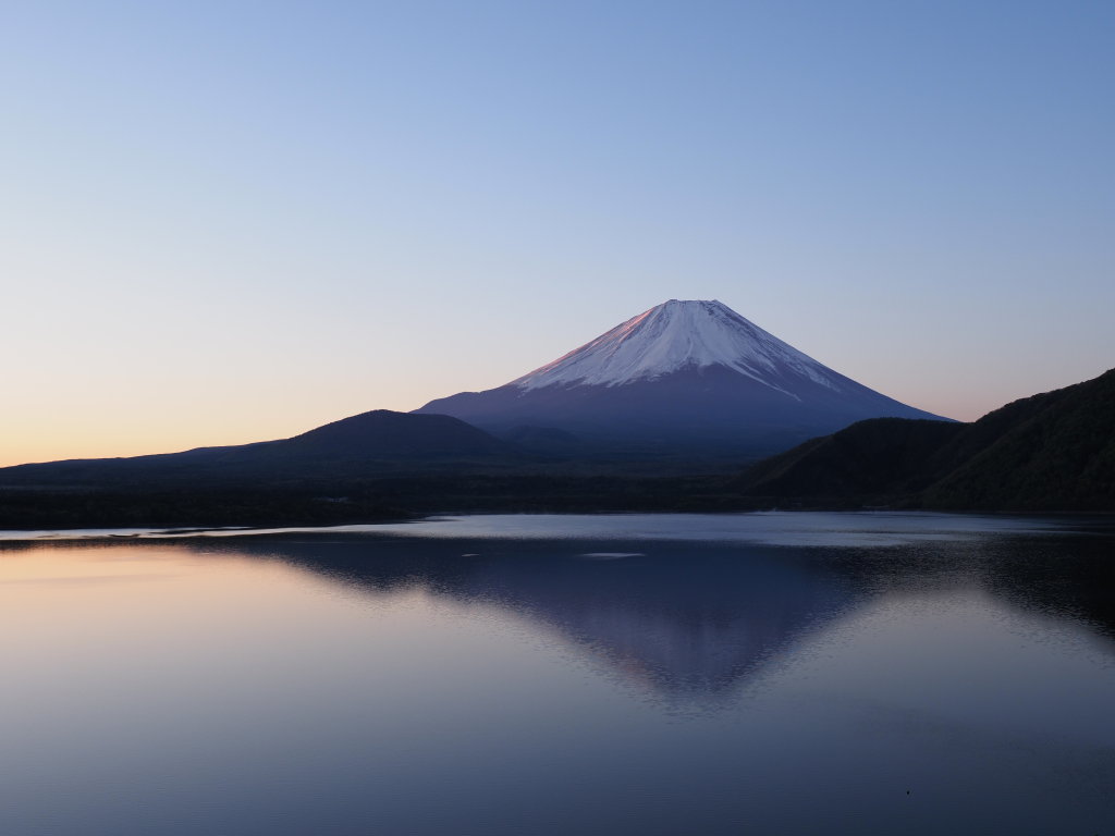 5/8 ���Ă��̕x�m�R