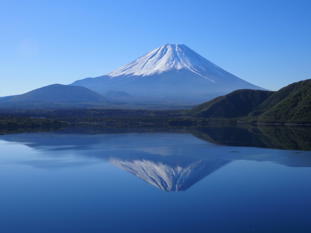 5/8 �t���x�m