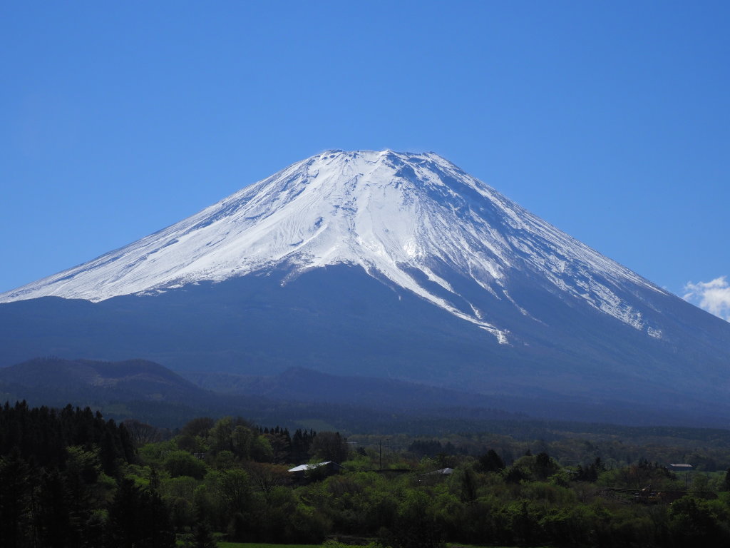 5/8 �x�m���䂩��̕x�m�R