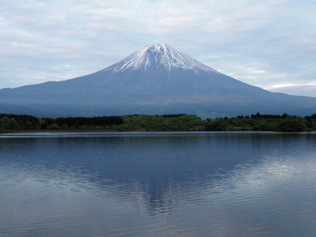 5/10 ���Ă��̕x�m�R