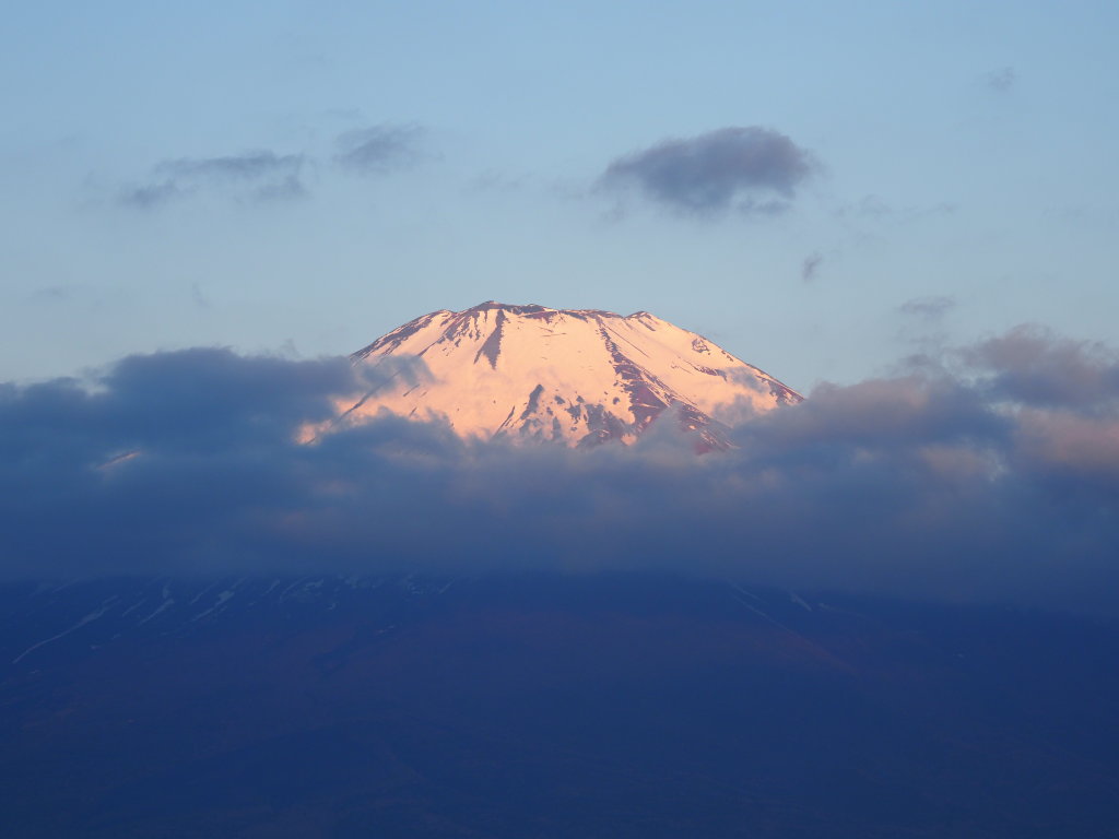 5/23 ���Ă��̕x�m�R