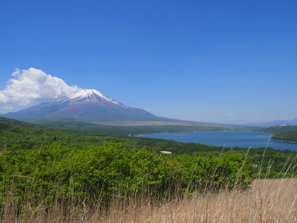 5/24 �U���̓r��