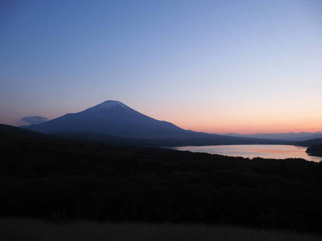 5/24 �[�Ă��̕x�m�R