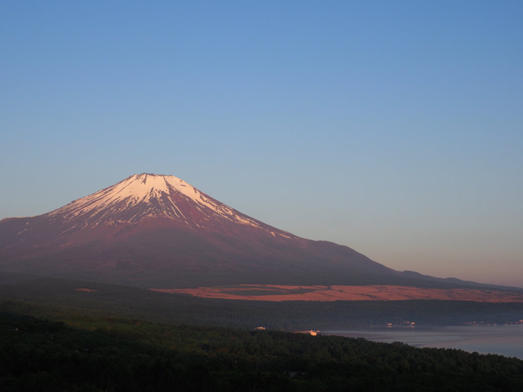 5/25 �g�x�m(2)