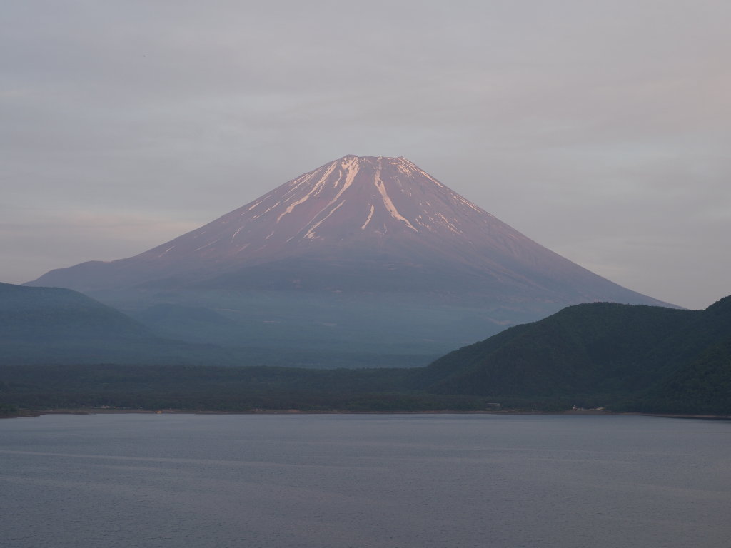 5/26 �[�Ă��̕x�m�R