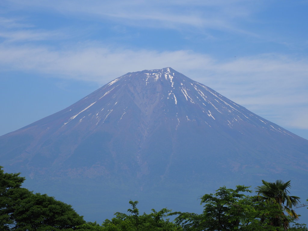 5/27 �c�ь΂���̕x�m�R