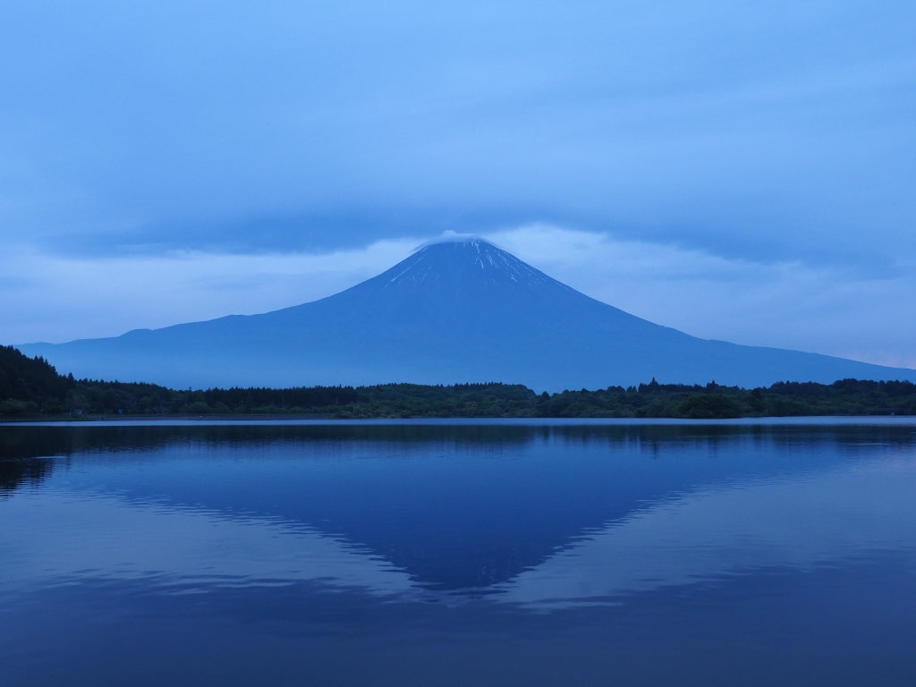 5/28 �ǂ��蒩�Ă�