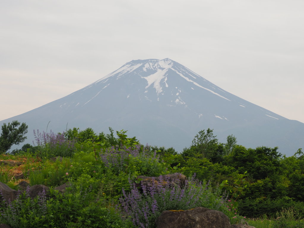 6/7 ���x���_�[�ƕx�m�R