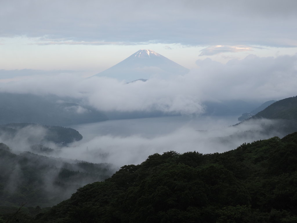 6/25 ���߂Ă̕x�m�R