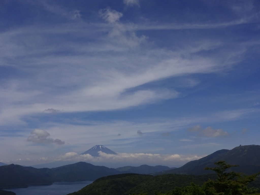 6/26 �_�ƕx�m�R