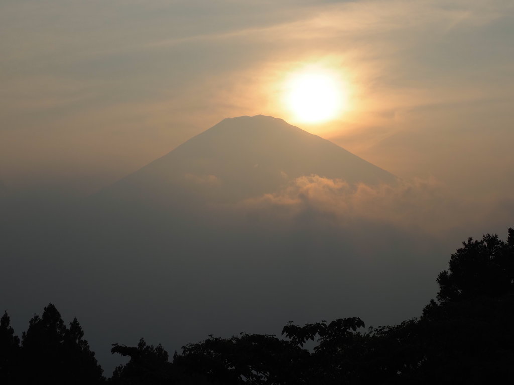 6/26 ����������̓��̓���