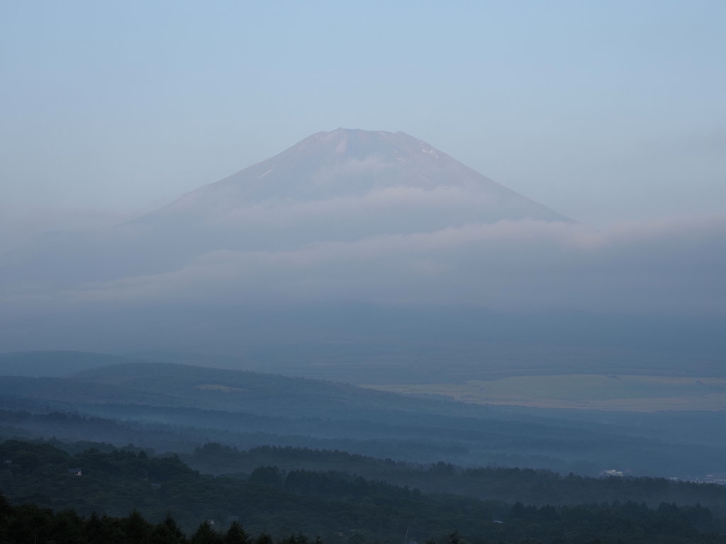 7/25 �����n�߂��x�m�R