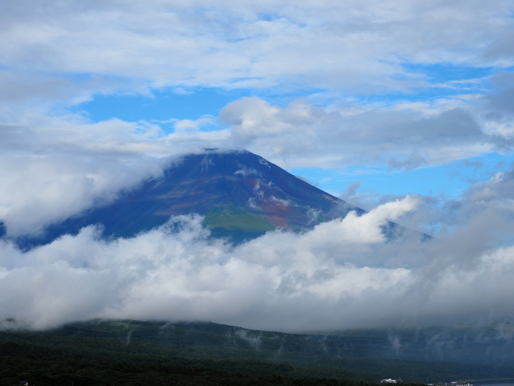 7/26 �����n�߂��x�m�R