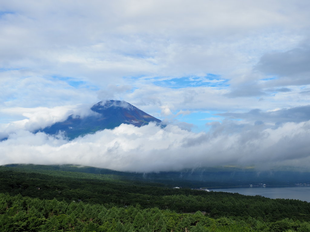 7/26 �R��������