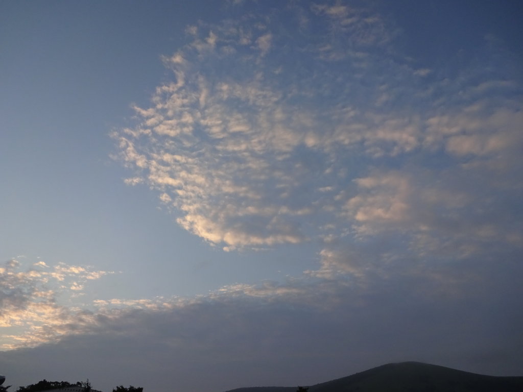 7/30 �~�J�����̋�