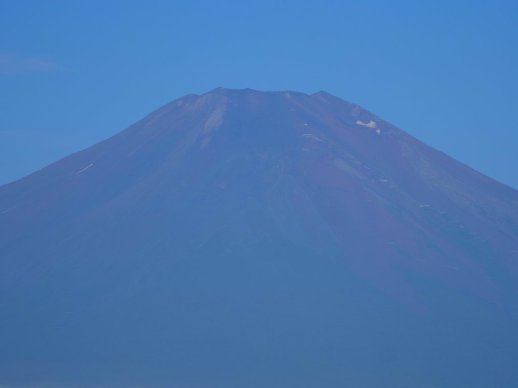 7/30 �x�m�R���̃A�b�v