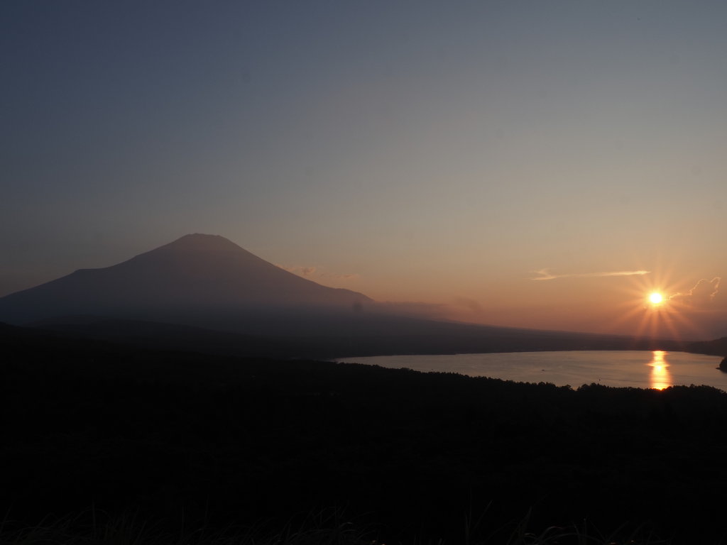 8/4 ���̓���̕x�m�R