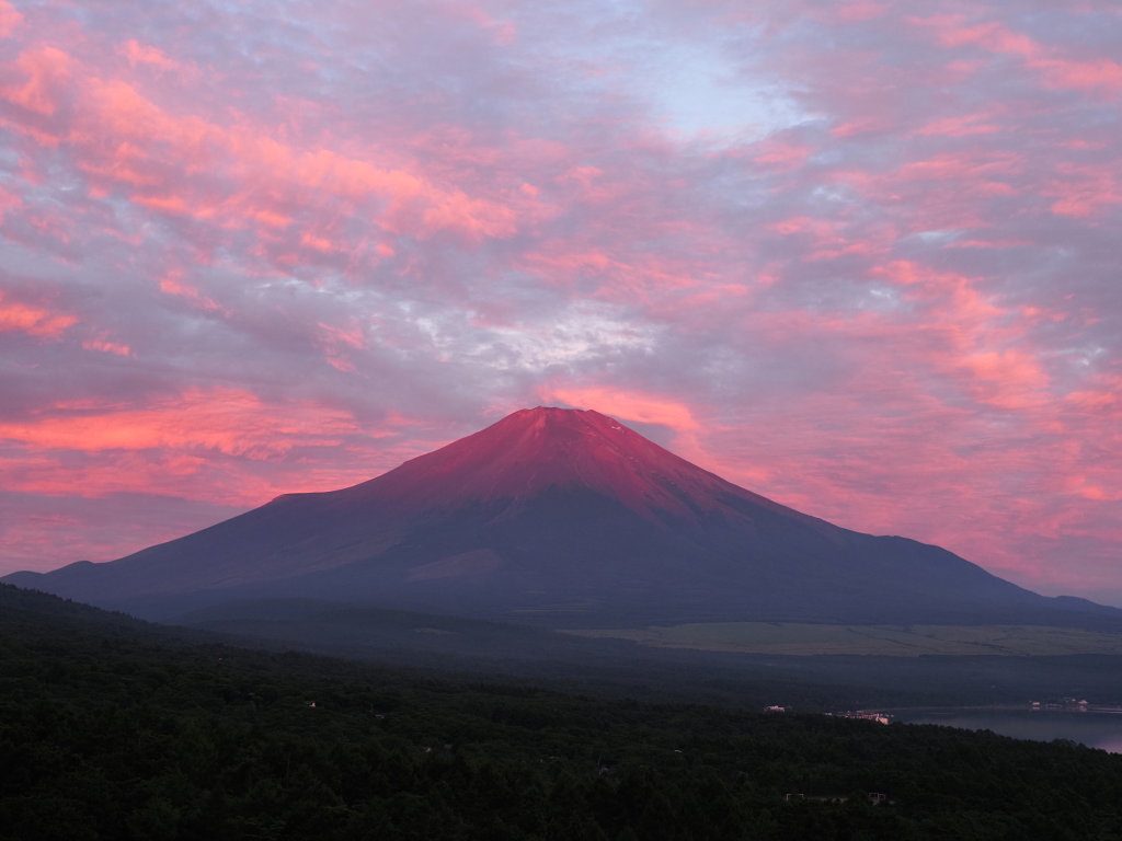 8/6 ���Ă��̕x�m�R