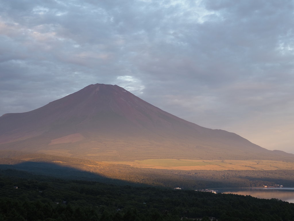 8/6 ���؂��