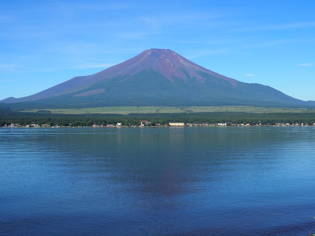 8/7 ���r����̕x�m�R