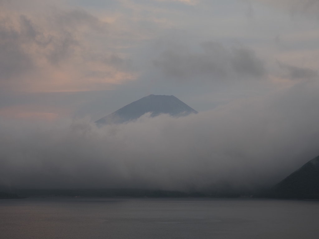 8/7 �[�Ă��x�m�R