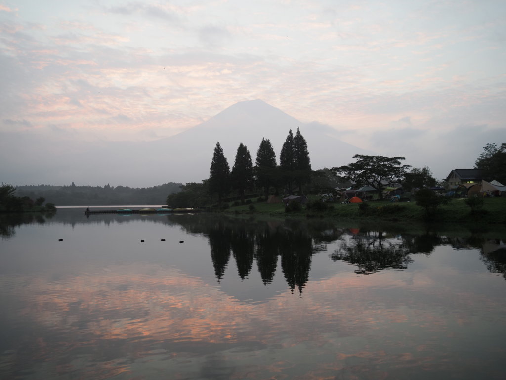 8/18 ���Ă��̕x�m�R