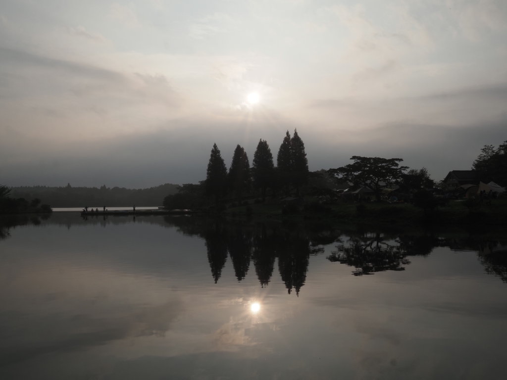 8/18 �_�̒��̃_�C�����ǂ�