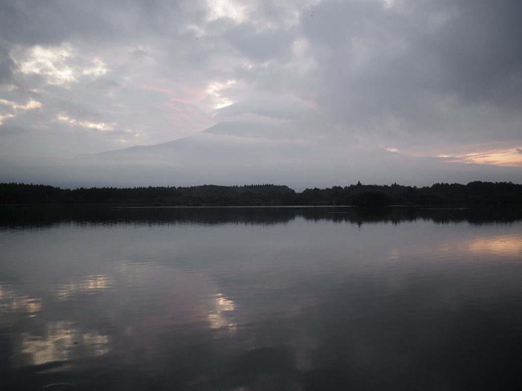 8/21 ���Ă��̕x�m�R