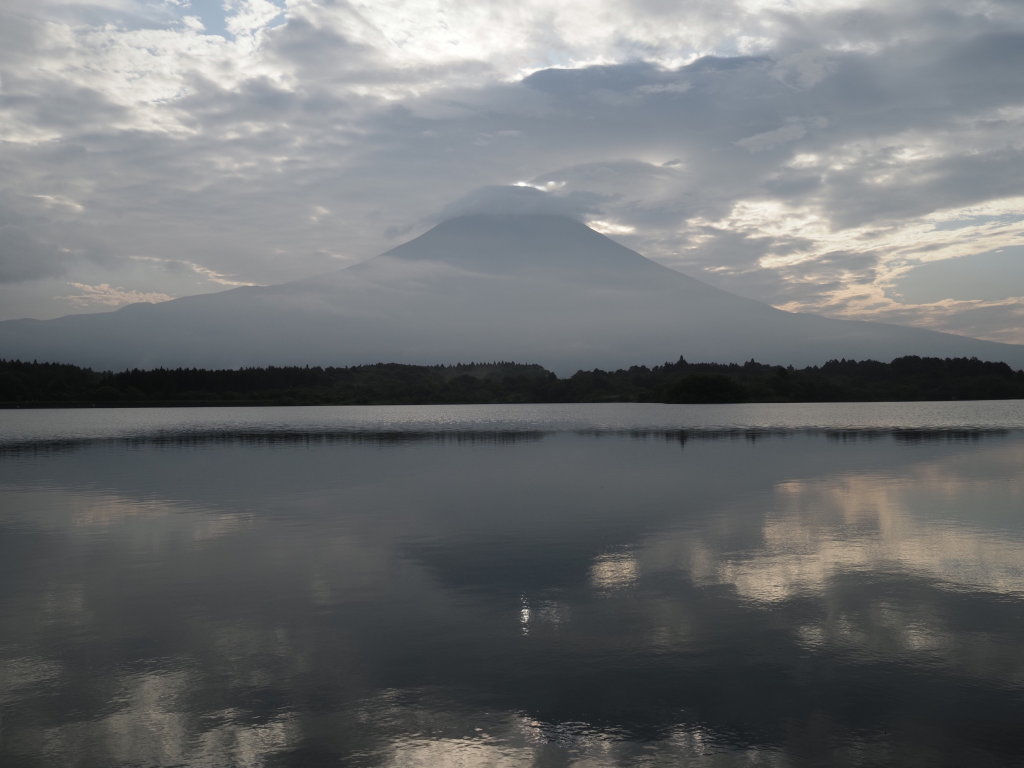 8/21 �_�̒��̃_�C�����ǂ�