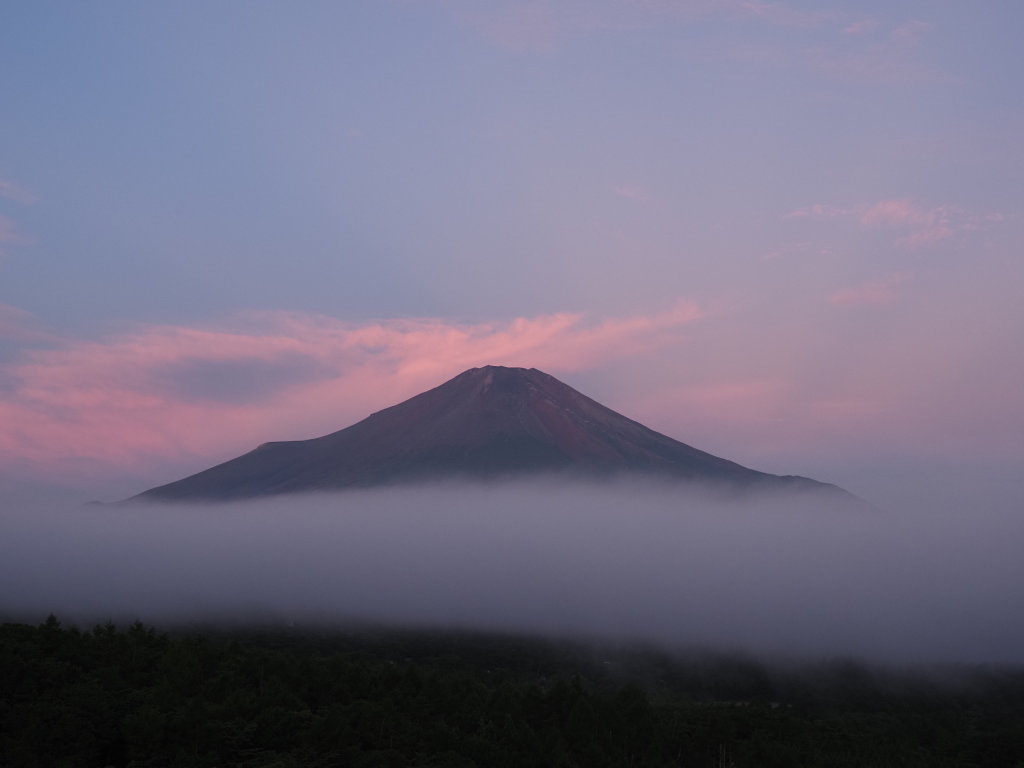 9/6 ���Ă��̕x�m�R