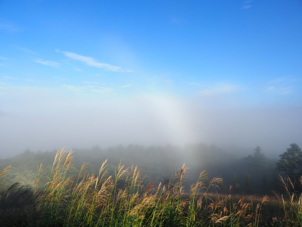 9/6 ������