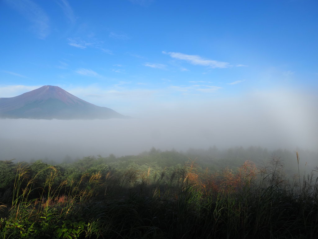 9/6 �x�m�R�Ɣ�����