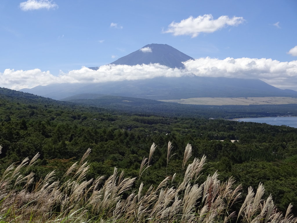 9/7 �X�X�L�ƕx�m�R