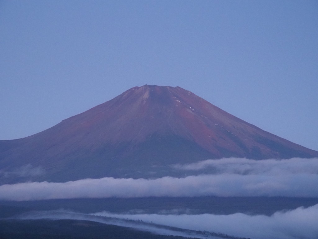 9/8 ���Ă��̕x�m�R