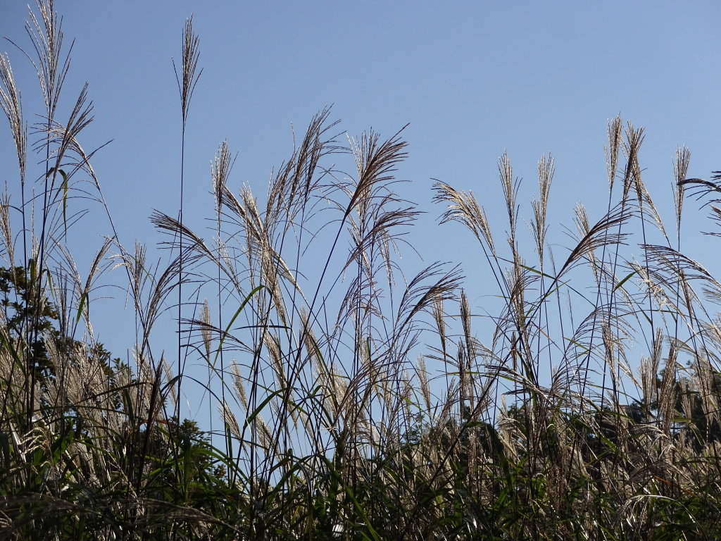 9/27 ������X�X�L