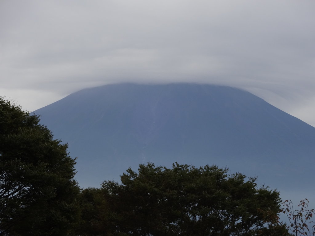 9/28 �c�ь΂���̕x�m�R