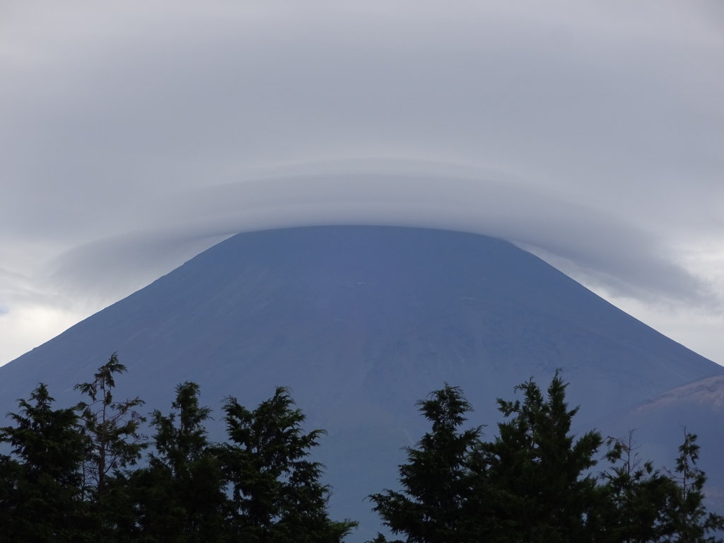 9/28 �\���؂���̎P�_�̕x�m�R